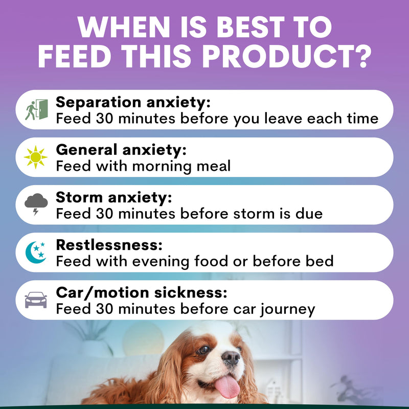 Dog Calming Product for Anxiety and Stress | Petz Park - High Stress Supplement For Dogs