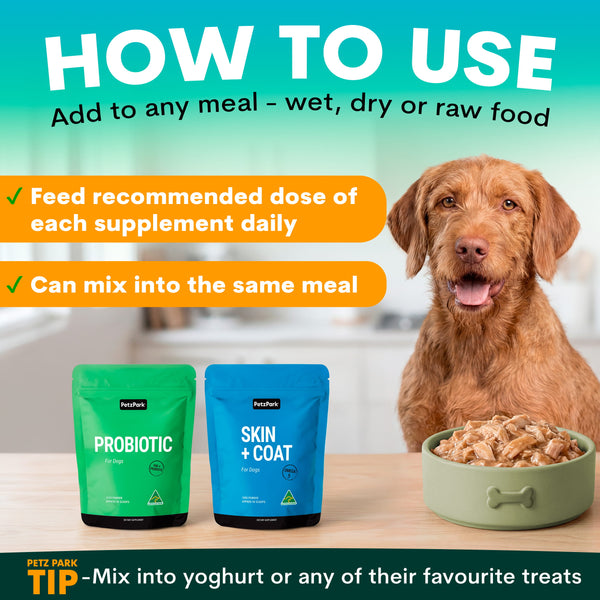 Dog with Petz Park probiotic and skin+coat supplements and a bowl of food on a table.