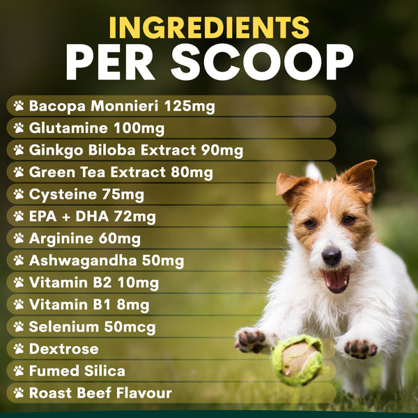Dog chasing a ball with ingredient list of a dog supplement on a green background