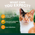 Cat with text about eye health benefits on a blurred green background