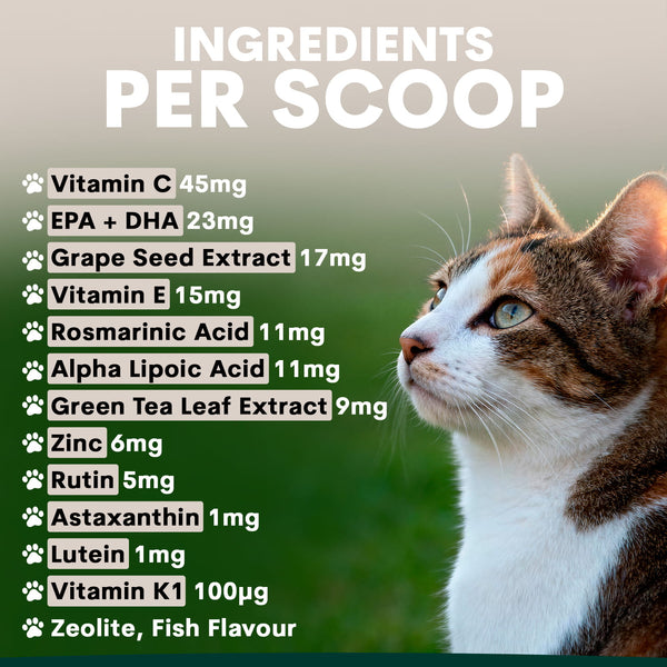 Cat Eye Support supplement with a list of ingredients per scoop on a green background