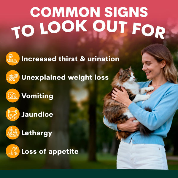 Woman holding a cat with a list of common signs to look out for on a red and green background