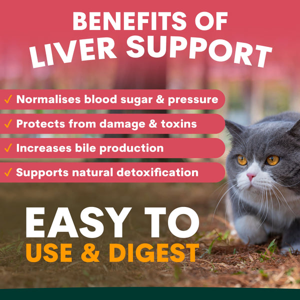 Cat in a garden with text about liver support benefits on a red background