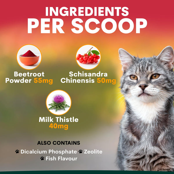 Cat sitting next to a list of ingredients per scoop with corresponding images and amounts.