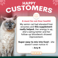 Cat with testimonial about supplement for liver health on a red and gray background