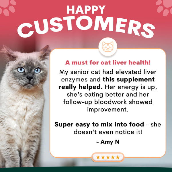 Cat with testimonial about supplement for liver health on a red and gray background