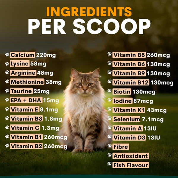 An ingredients panel graphic for a scoop product, showing a fluffy cat sitting on grass in the center with text listing nutrients per scoop on both sides. The background is a blurred outdoor green scene.