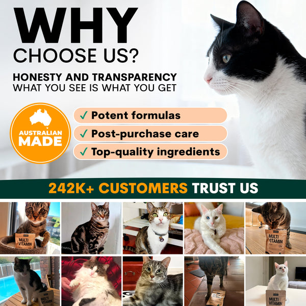 Advertisement for a pet product brand with a collage of cats and text about honesty, transparency, and customer trust.