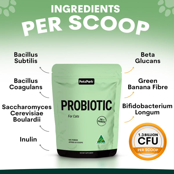 Green probiotic supplement package with text detailing ingredients and CFU count on a light green background