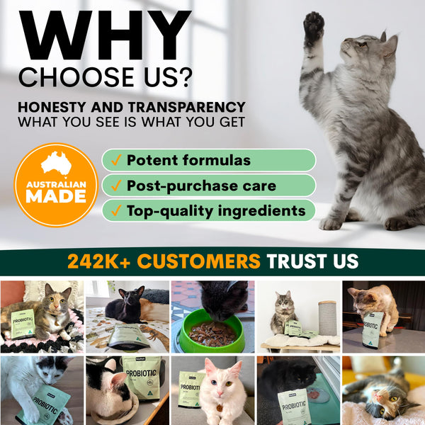 Promotional graphic for a pet product brand with images of cats and text highlighting features and customer trust.