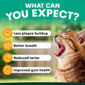 Promotional graphic for pet dental care featuring a close-up of a yawn-ing tabby cat on the right and text on the left listing benefits: less plaque buildup, better breath, reduced tartar, and improved gum health. Large headline at the top reads 'WHAT CAN YOU EXPECT?' on a green gradient background.
