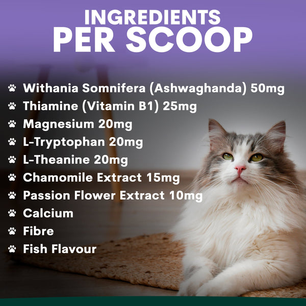 Cat sitting on a mat with a list of ingredients per scoop displayed above it.