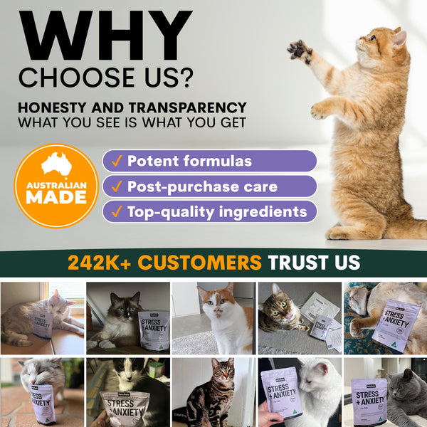why choose Petz Park?