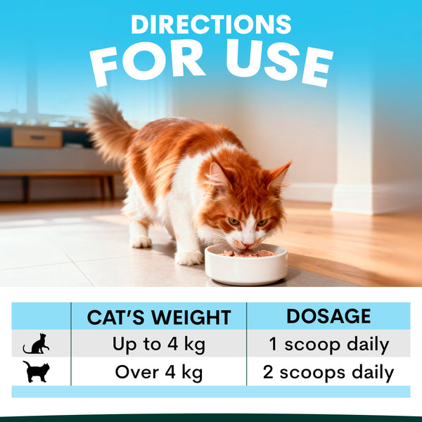 Cat eating from a bowl with dosing instructions on a blue background