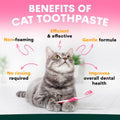 Cat with toothpaste and toothbrush on a pink background with text about cat toothpaste benefits.