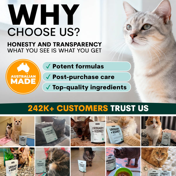 Promotional image for a pet product brand with a cat and text about honesty, transparency, and customer trust.