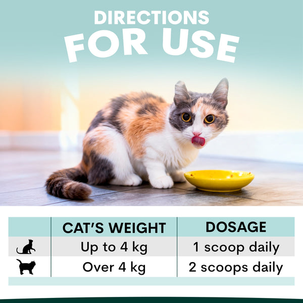 Cat sitting next to a bowl with dosing instructions displayed below.
