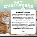 allergy supplements for cats review