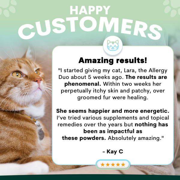 allergy supplements for cats review