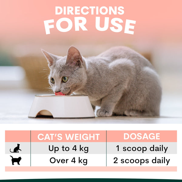 Cat eating from a bowl with dosage instructions displayed below.