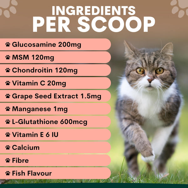 Ingredients for cat joint supplement