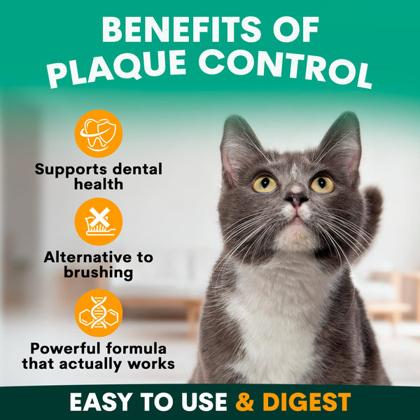 benefits of using petz park dental supplements