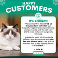 Cat with a testimonial about Plaque Control on a green background. Petz Park Plaque Control reviews