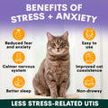 Cat sitting on a white surface with text about stress and anxiety benefits on a purple background. Cat calming supplements benefits