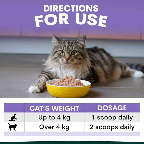 Cat sitting next to a bowl of food with usage instructions on a purple background