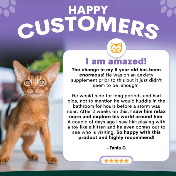 Petz Park Stress and Anxiety customer review