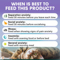 Cat lying down with feeding guidelines for anxiety on a purple background. When to feed a cat a calming supplement