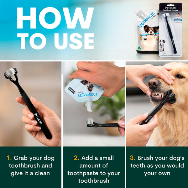 how to brush your dog's teeth