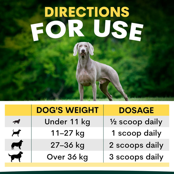 how much brain support supplement to feed my dog