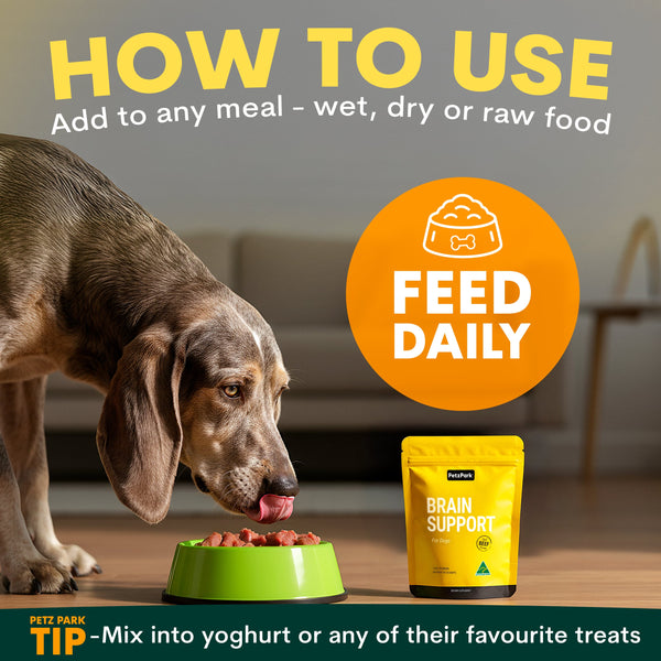 how to use petz park brain supplement