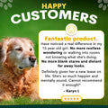 Dog sitting on grass with a testimonial about a fantastic product for a 15-year-old girl. Petz Park Brain Support reviews