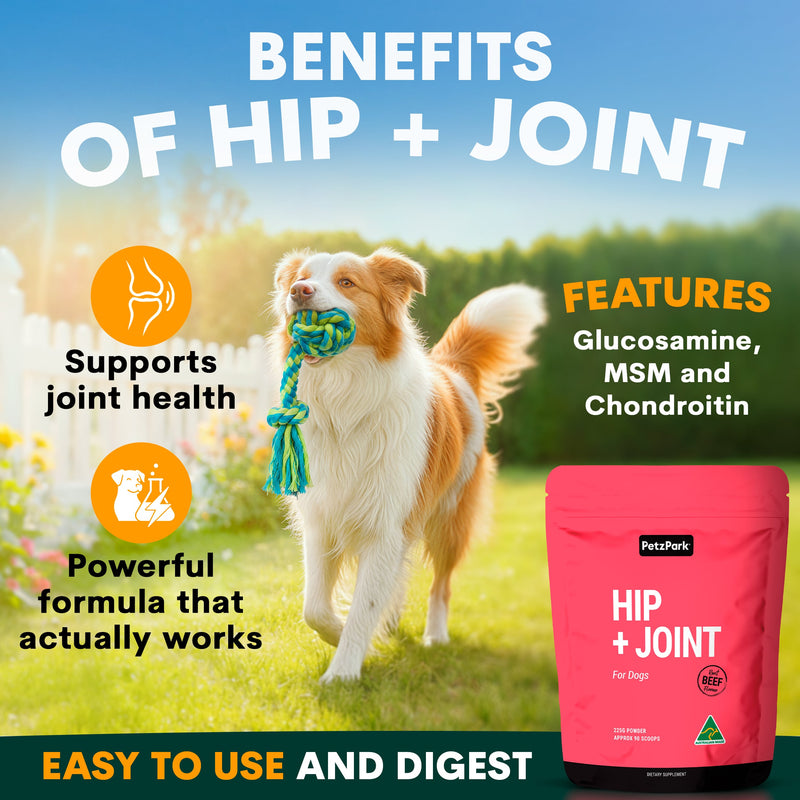 Dog playing with a toy in a field, promoting 'Hip + Joint' supplement with text about benefits and features.