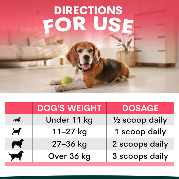 Dog lying on a carpet with a green ball, and a dosage chart for dogs by weight. Joint supplement for dog dosage