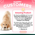 Dog with a bowl, testimonial about arthritis relief product on a pink background. Petz Park joint supplement reviews