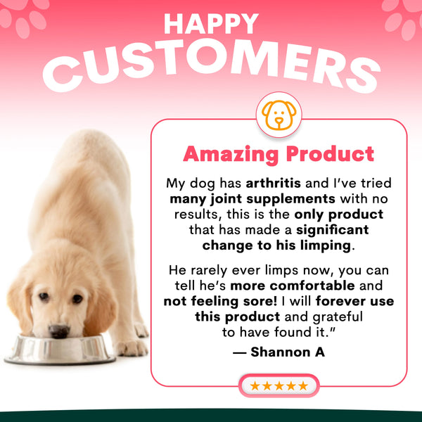 Dog with a bowl, testimonial about arthritis relief product on a pink background. Petz Park joint supplement reviews