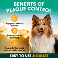 benefits of dental supplement for dogs