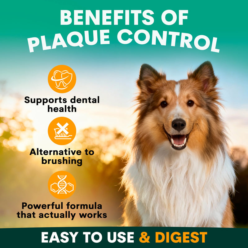 benefits of dental supplement for dogs