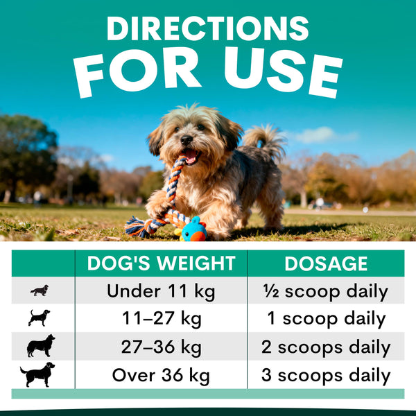how much Plaque Control to feed dog
