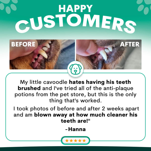 Petz Park Plaque Control reviews