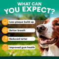 what can you expect from plaque control for dogs?