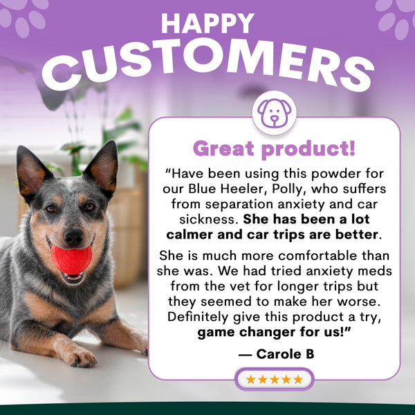 Petz Park Stress and Anxiet supplement reviews