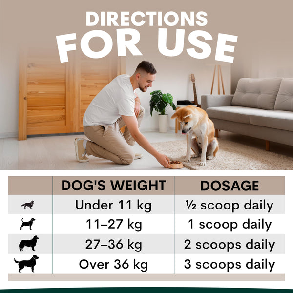 Man kneeling with a dog on a carpeted floor, with a chart detailing dog weight and dosage.
