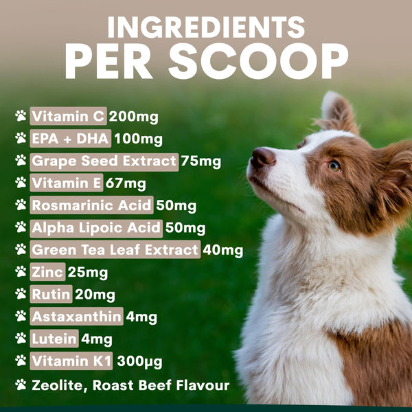 Dog looking up with a list of ingredients per scoop on a green background
