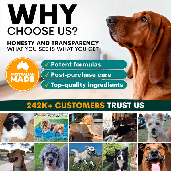 Petz Park Dog Dental Supplement