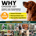 Why choose Petz Park: honesty and transparency, post-purchase care and more than 242,000 customers