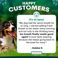 Dog lying on grass with a testimonial about a pet product on a green background